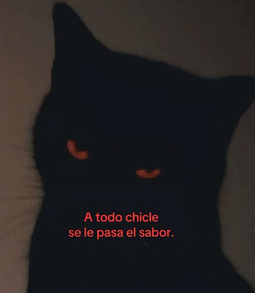 Beryl 🧶 (@berilyn_02) on Twitter photo 