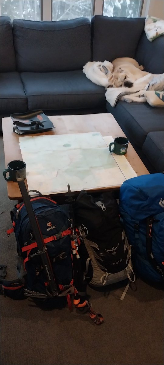 VoltedMonkey's tweet image. Summit ready