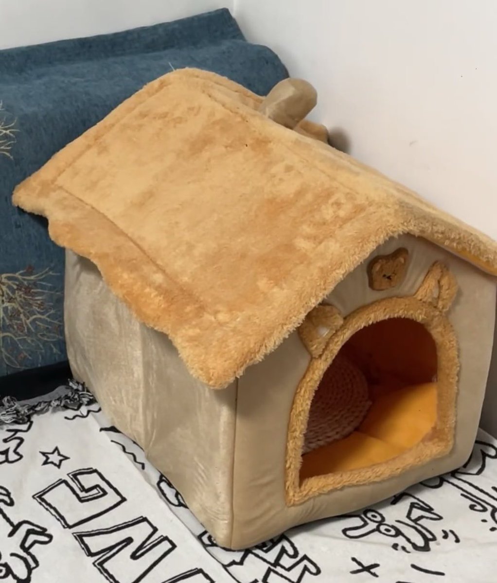 iitsme_ray's tweet photo. @bxxm_rvw Hi,🐈‍⬛I have prepared your room for you☺️☺️☺️

@bxxm_rvw 
#RVW #BXXMRVW https://t.co/h2cTZ7KhlZ