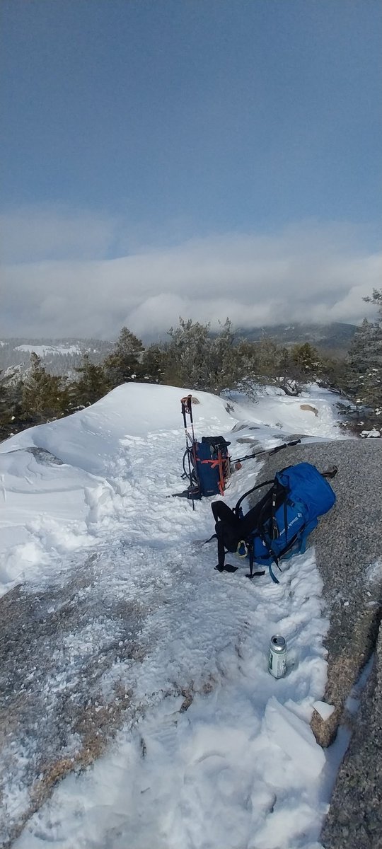 VoltedMonkey's tweet image. I would stay if I could