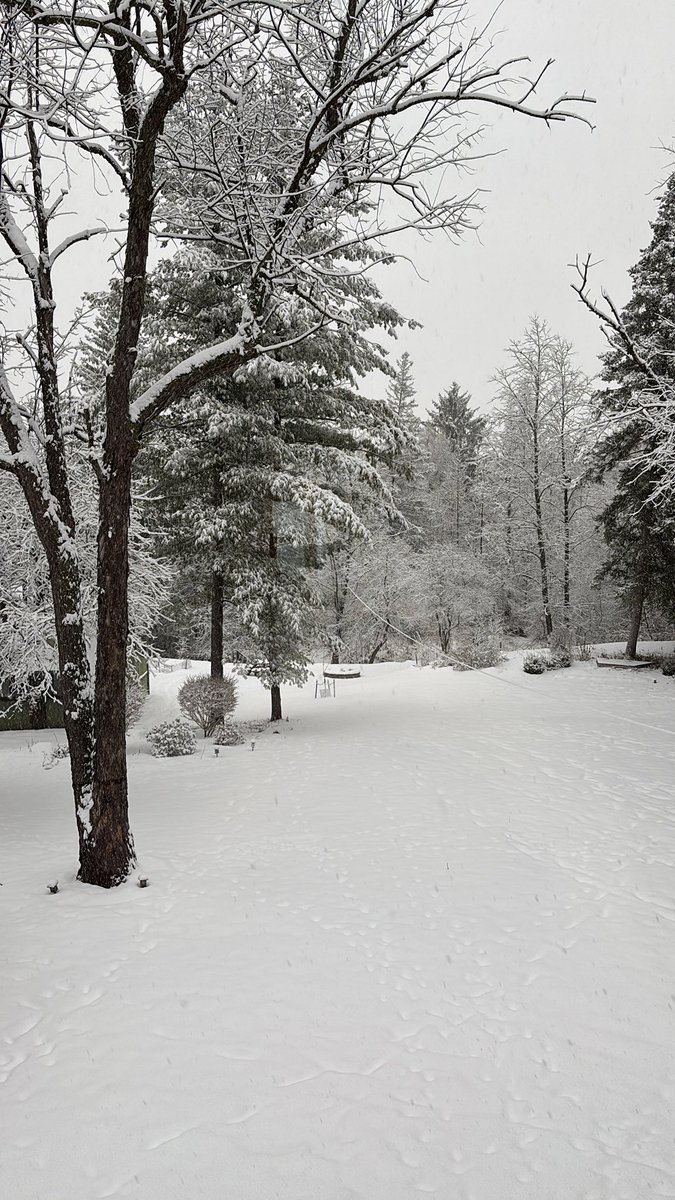 Picture perfect winter day in the great white north.
