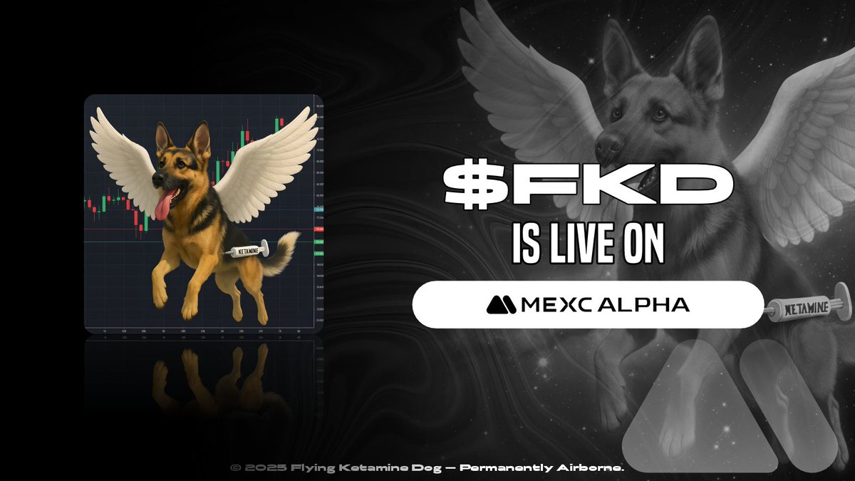 Flying Ketamine Dog tweet media