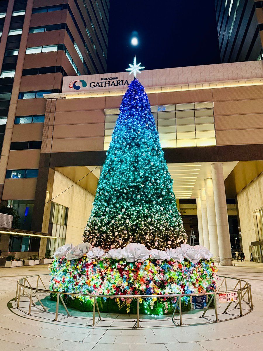 れのるーむ公式 tweet media