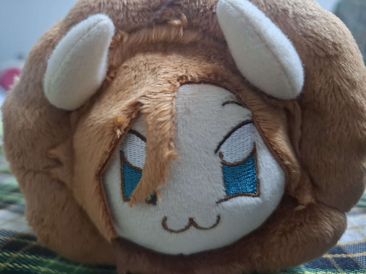 windversa tweet picture