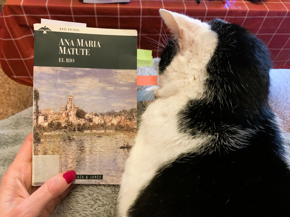 Gabriela tweet media