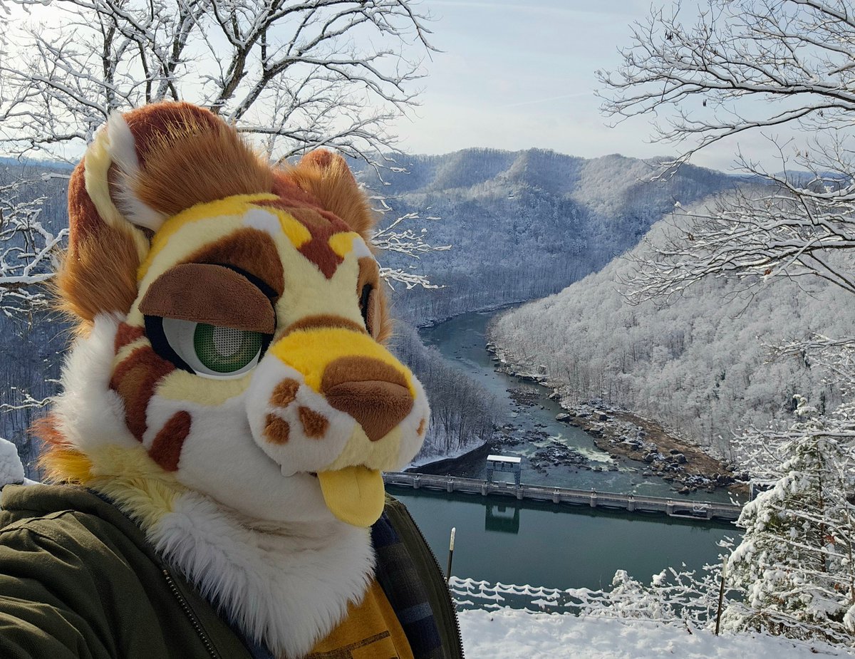 Toasterstein tweet media