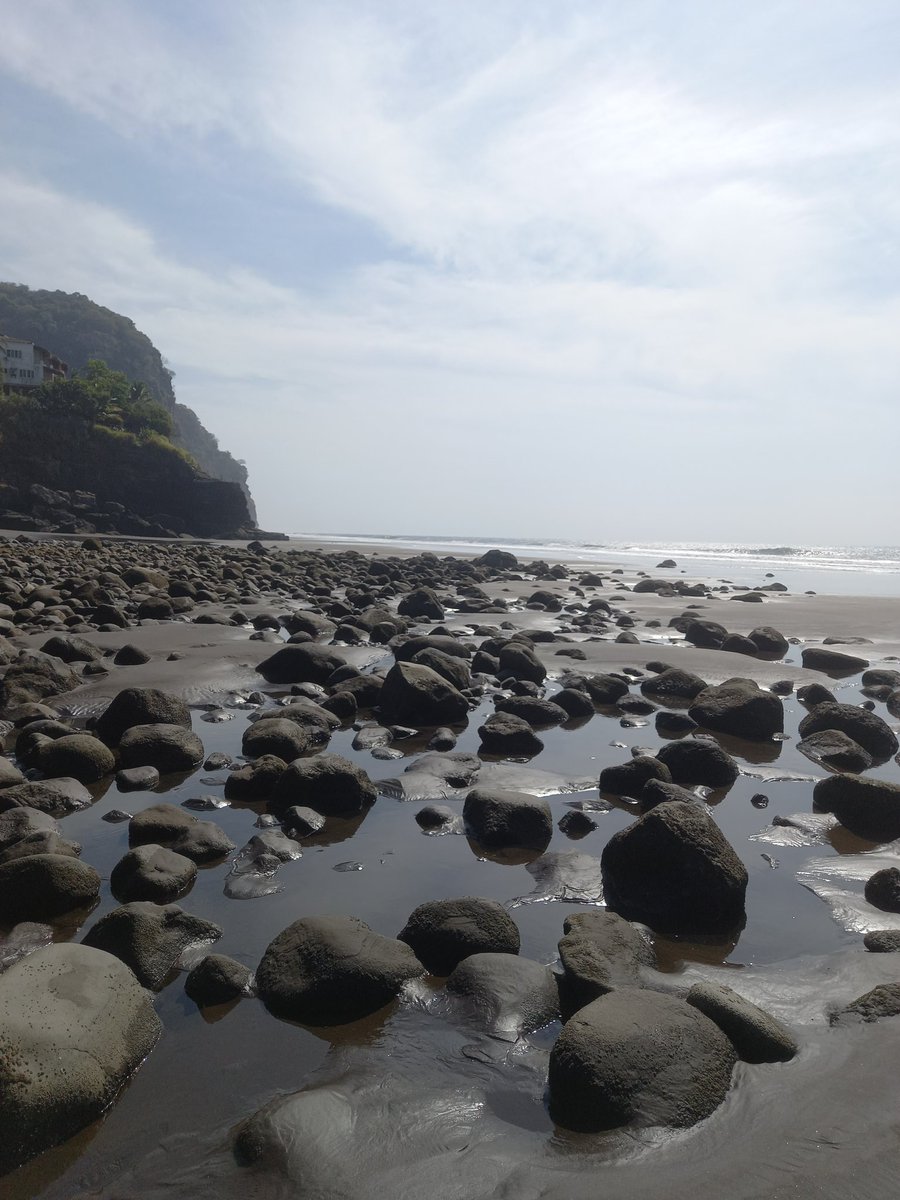 Alex Hasbun tweet media