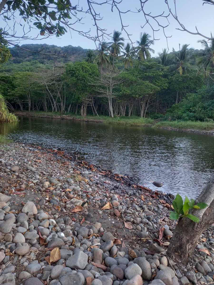 Alex Hasbun tweet media