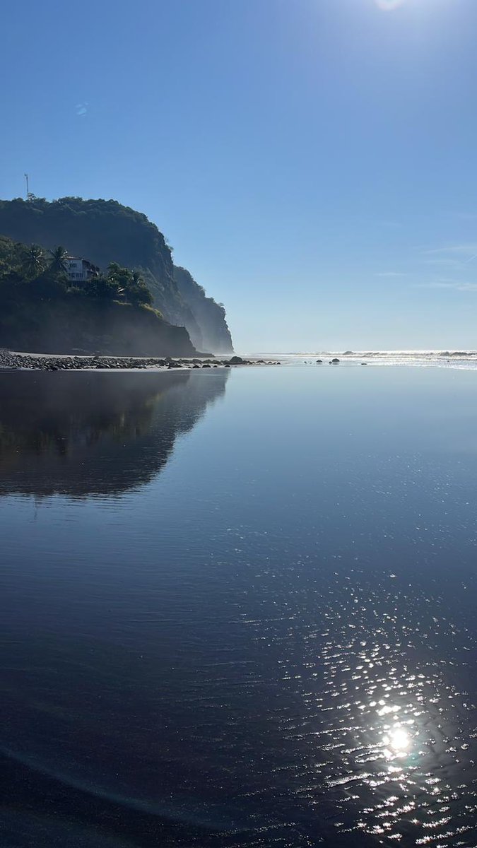 Alex Hasbun tweet media