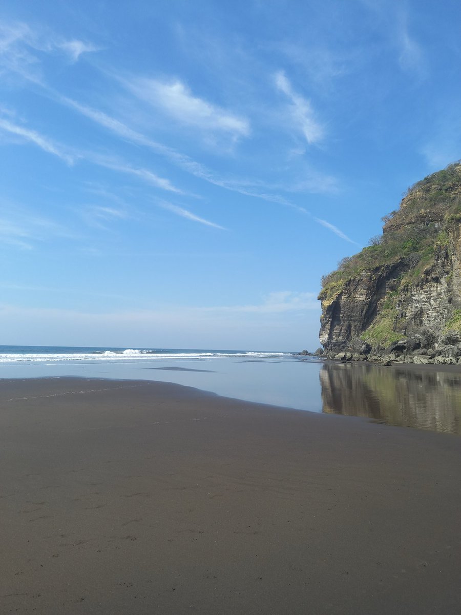 Alex Hasbun tweet media