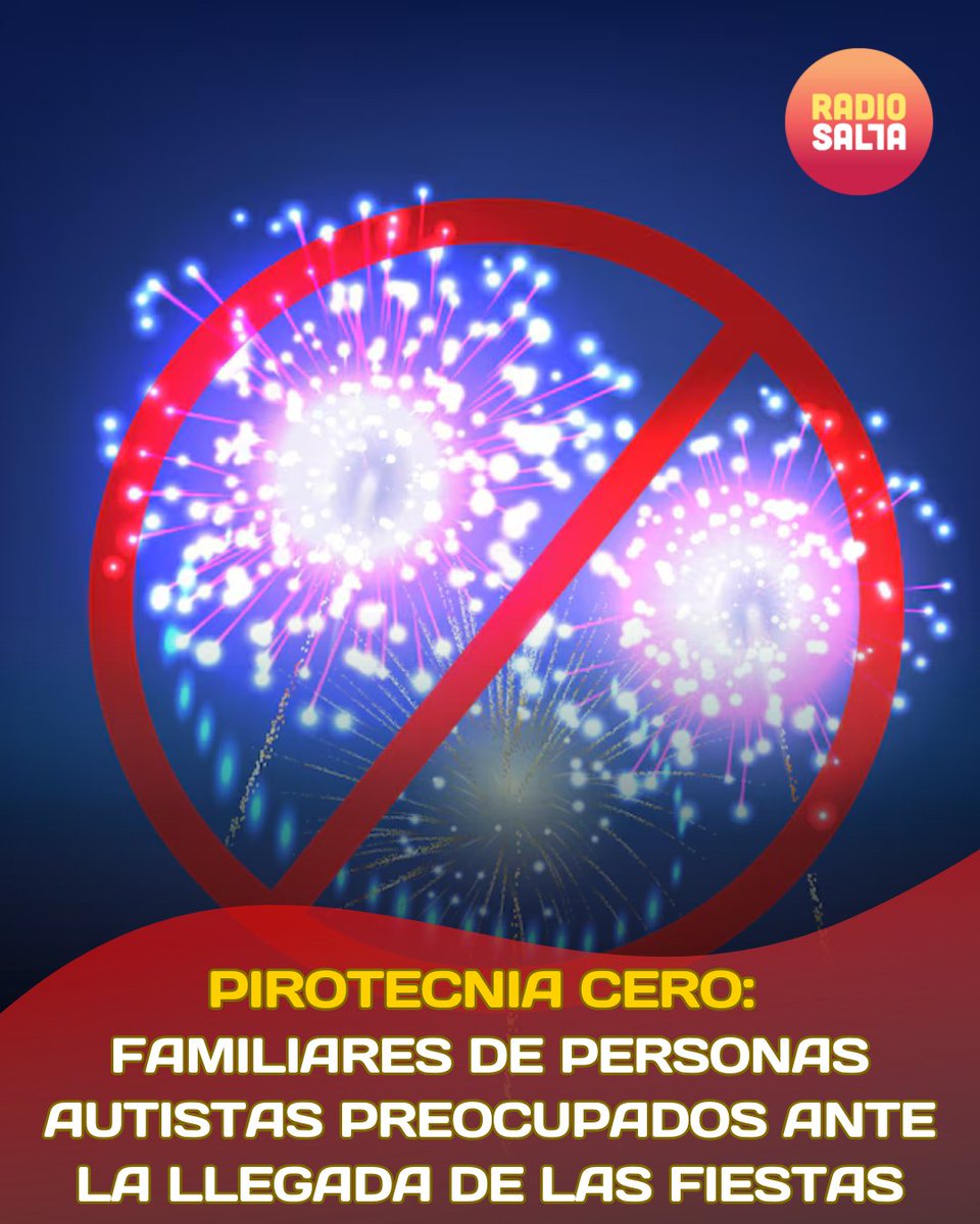 Pirotecnia Cero: Familiares de personas autistas preocupados ante la llegada de las fiestas

Padres de niños con Trastornos del Espectro Autista en Salta se reunieron con autoridades del gobierno de la provincia.