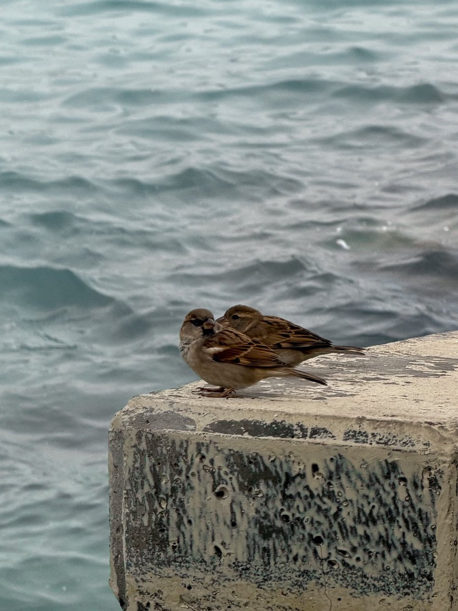 ٰ (@aidasecret2) on Twitter photo 