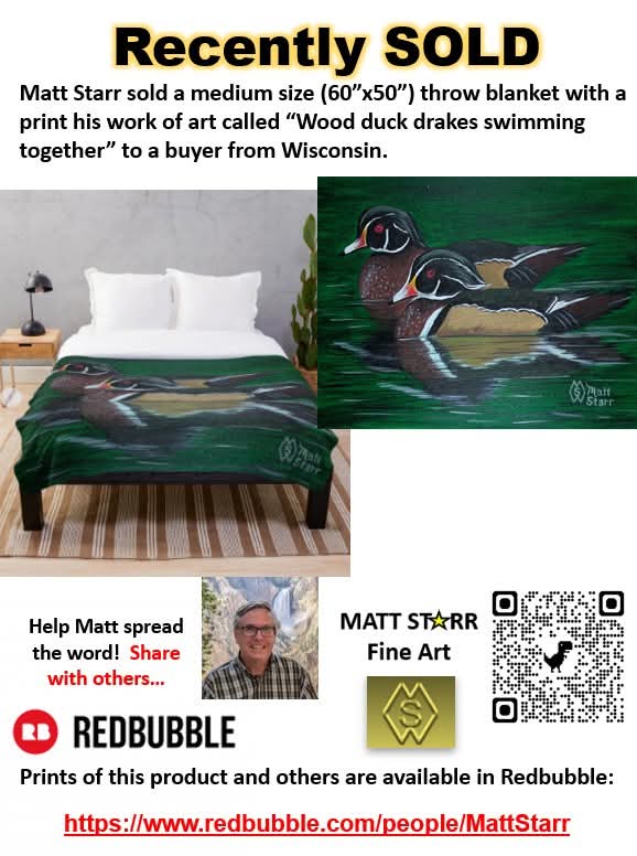 MattStarrFineA1's tweet photo. I recently sold a medium size throw blanket with a print of my work of art called “Wood duck drakes swimming together” to a buyer from Wisconsin my Redbubble art shop. https://t.co/Dm9atFP50e 

#mattstarrfineart #woodducks #ducks #throwblankets #birds #blankets #art #paintings https://t.co/T0joRLu6Bi