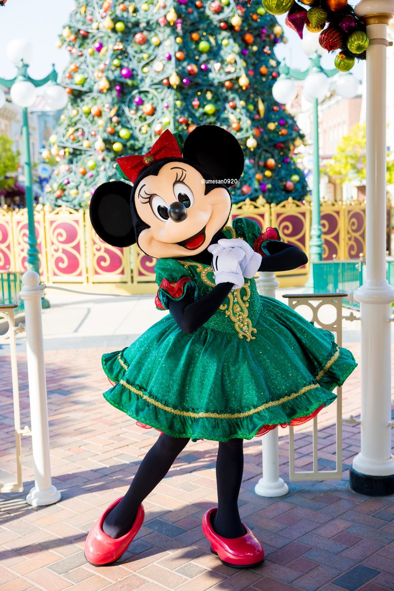 ミニー様♡専用コーナー\(//∇//)\ 11％OFF】ウェイトドール ミニーマウス 足裏刺繍込み|両親プレゼント