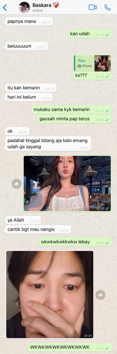 aya 🪭 tweet media