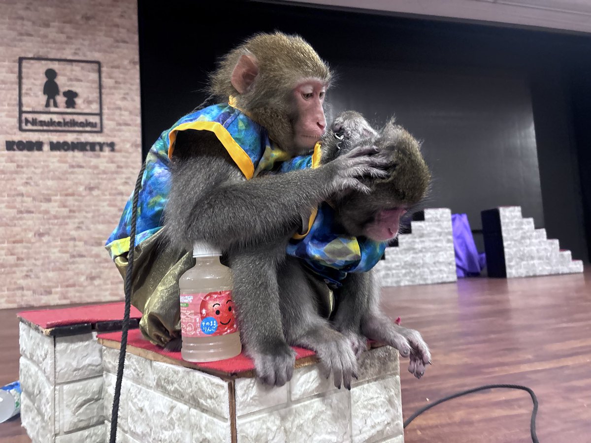 Gen-Ten (@0523_gen) / Posts / X