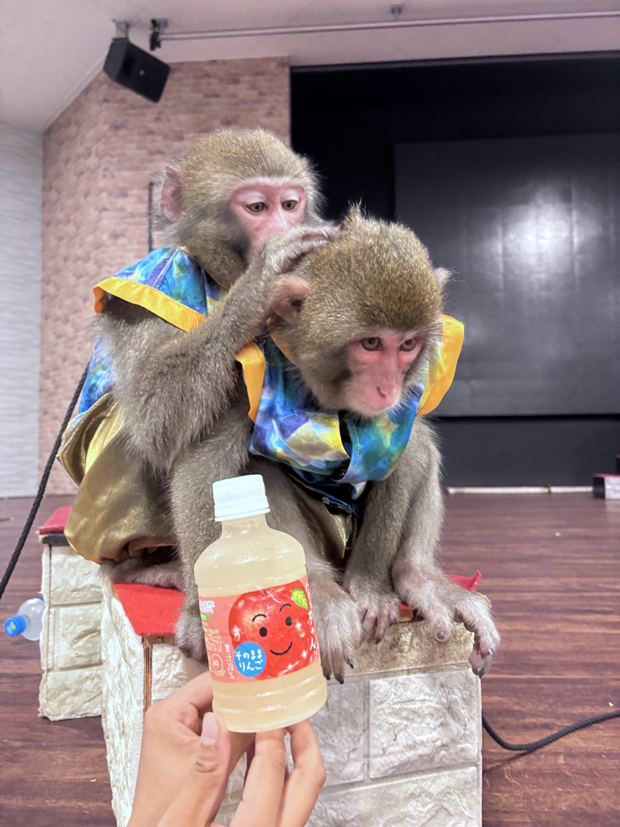 Gen-Ten (@0523_gen) / Posts / X