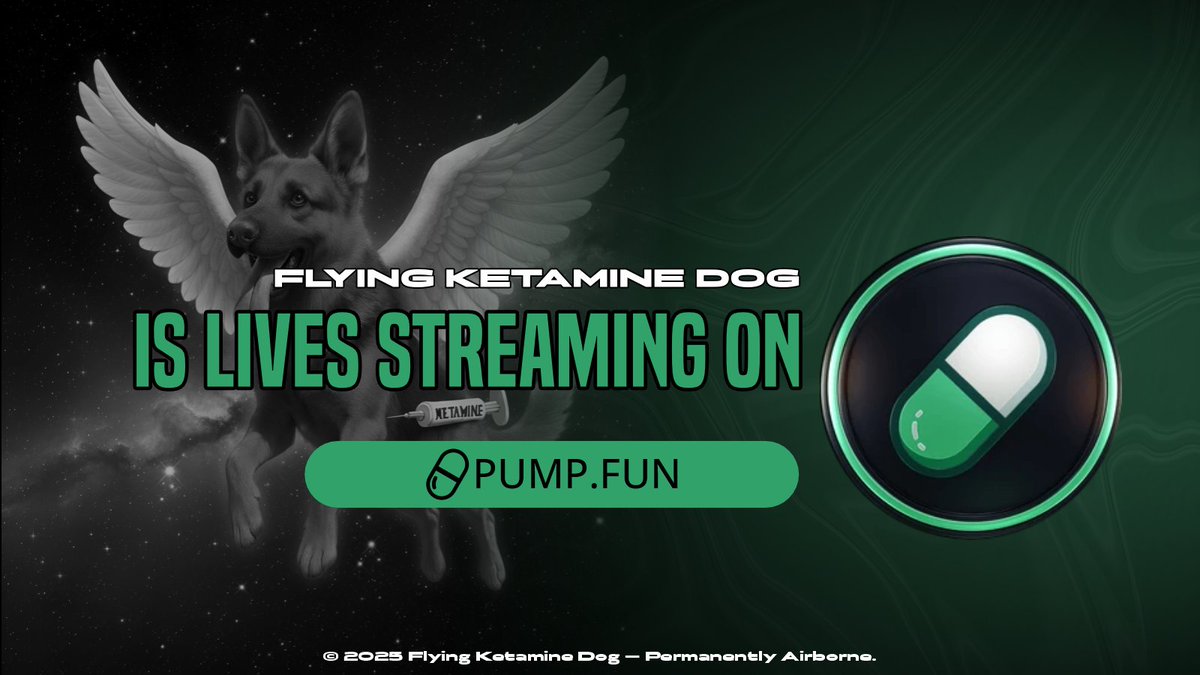 Flying Ketamine Dog tweet media