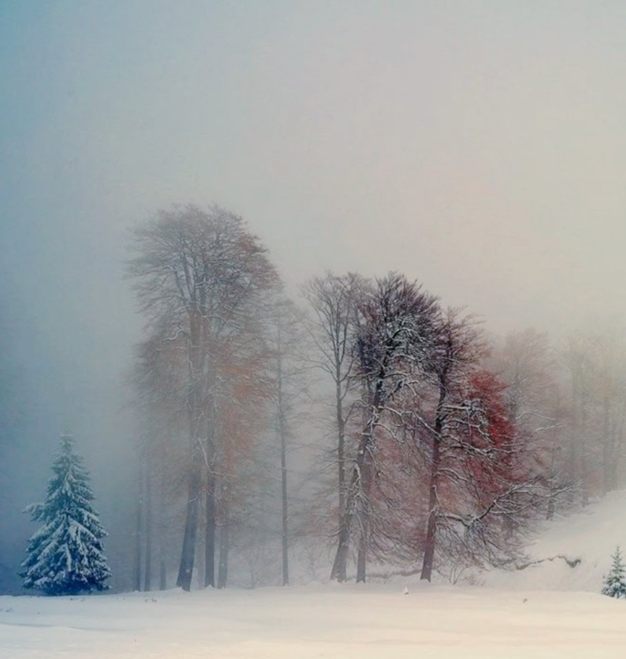 Cpt_Rook's tweet image. “Write me of hope and love, and hearts that endured.”

- Emily Dickinson