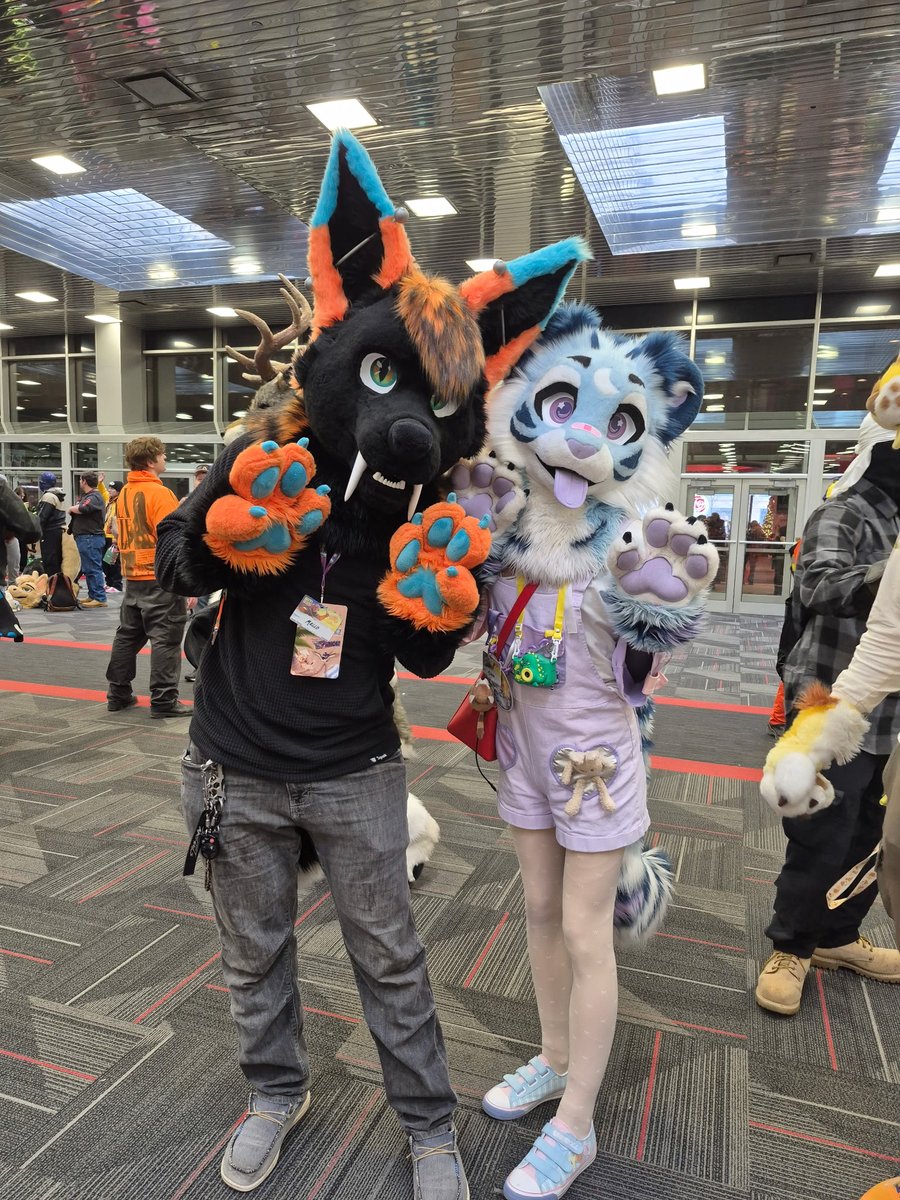 🩵Mello🧡 tweet media