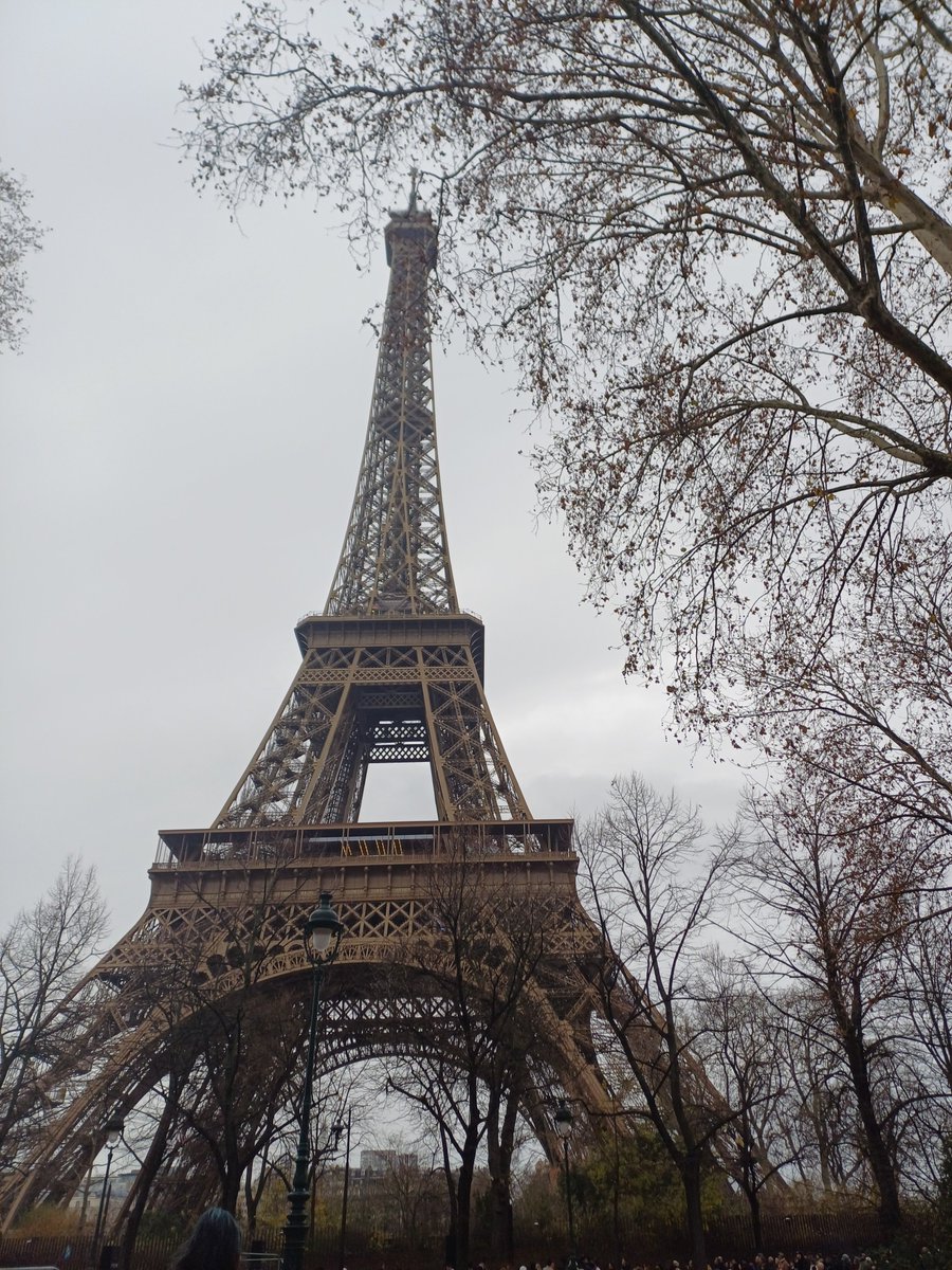 IDEAL Democracy tweet media