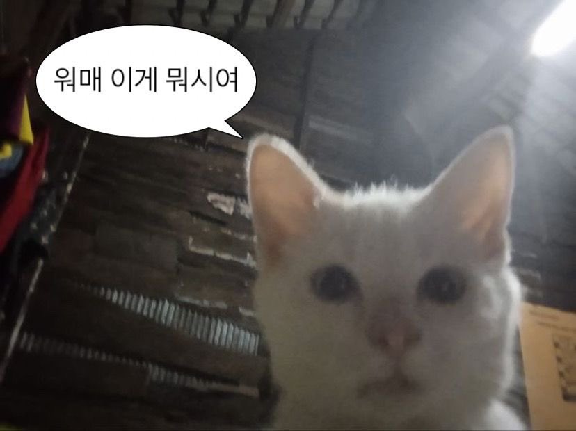 가연 (@wooju_25) on Twitter photo 