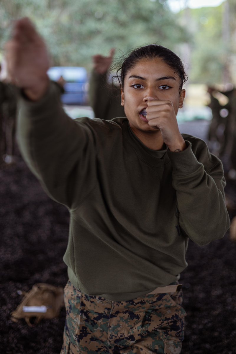 USMC's tweet image. #MarineCorps recruits with Alpha Company, 1st Recruit Training Battalion, execute tan belt techniques as part of the Marine Corps Martial Arts Program on @MCRDPI, S.C.

During recruit training, recruits are taught and must master basic assault and defense techniques to earn their…