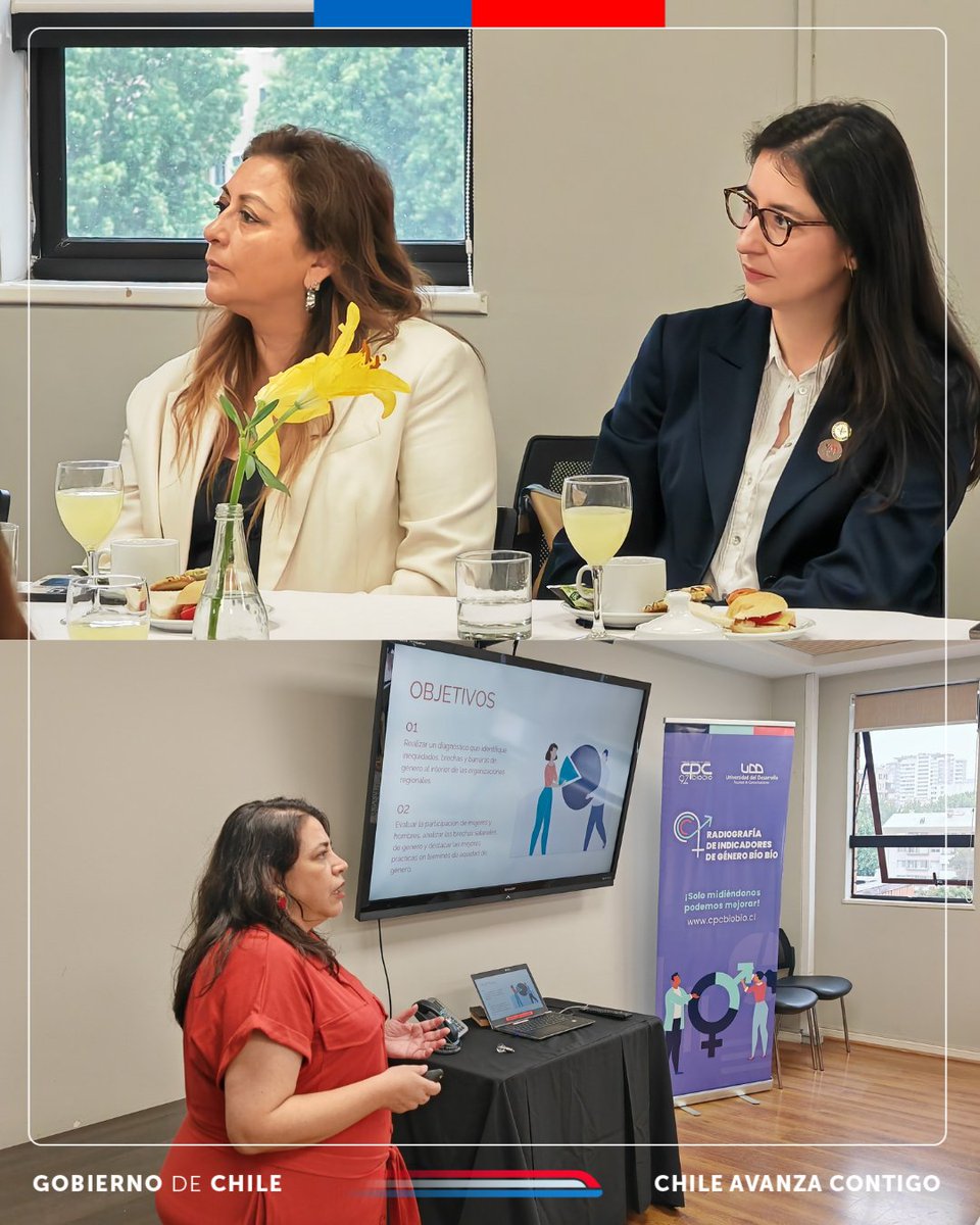 La instancia reunió a representantes y encargadas/os de género de empresas, instituciones y organizaciones civiles, para conocer cifras clave sobre brechas en la participación laboral femenina, el aprovechamiento del talento y la efectividad de las políticas DEI en la región.