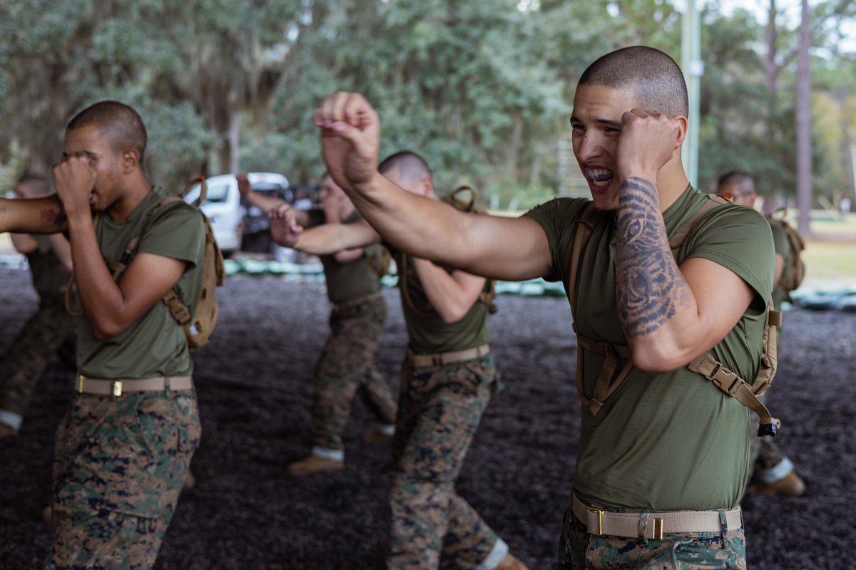 USMC's tweet image. #MarineCorps recruits with Alpha Company, 1st Recruit Training Battalion, execute tan belt techniques as part of the Marine Corps Martial Arts Program on @MCRDPI, S.C.

During recruit training, recruits are taught and must master basic assault and defense techniques to earn their…