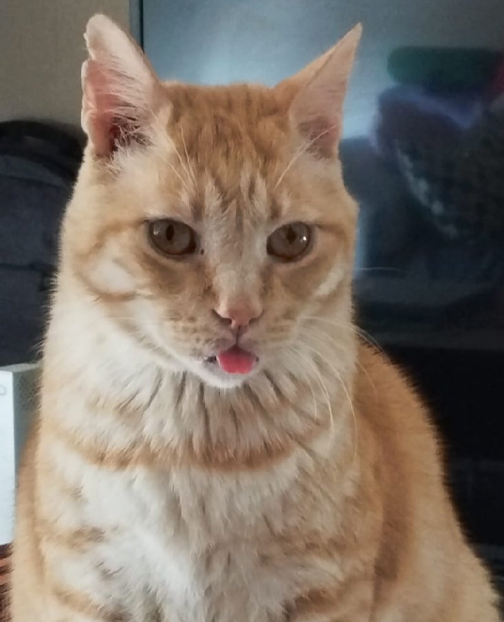 ♦︎ OGAWA / 湿地帯と金魚 奈良斑鳩ツーリズムWaikaru