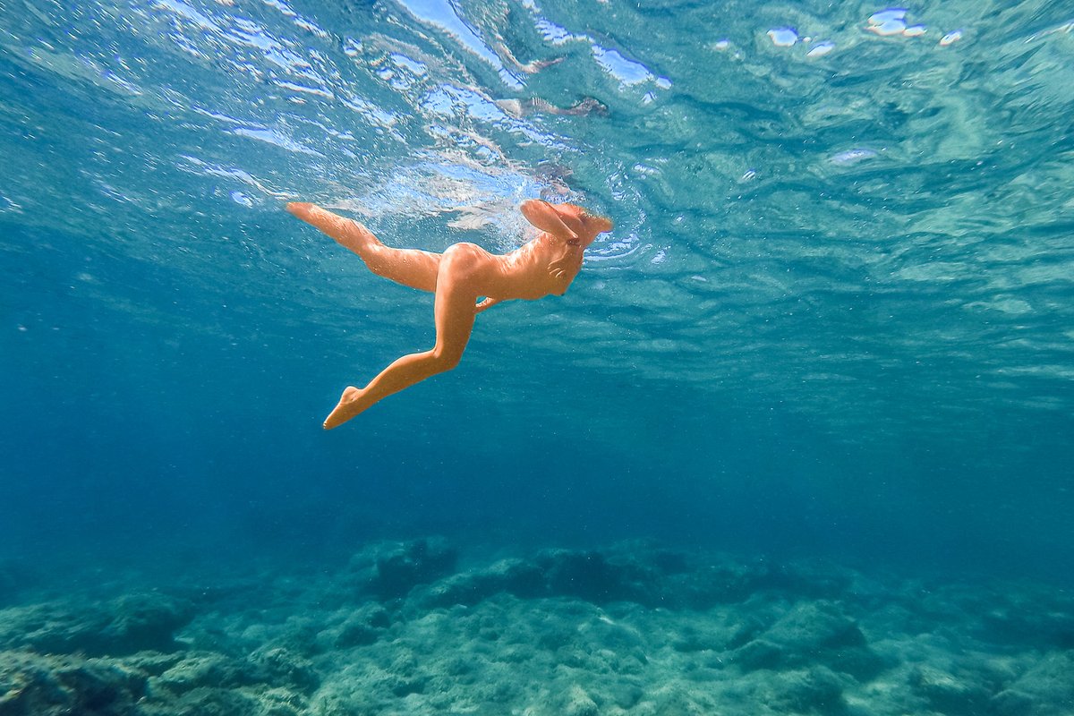 Resultado da Convocatória Portfólio em Resumo #6 “Nu &amp; Sensualidade” resumofotografico.com/2025/12/result…