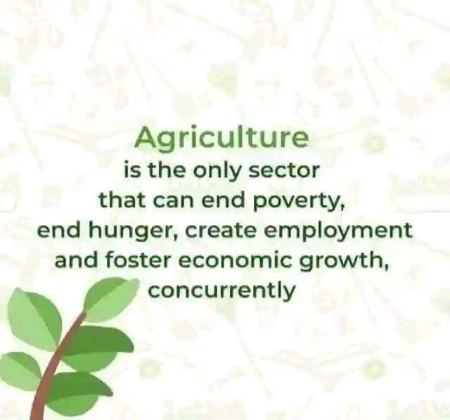 For sure, I once taken into consideration among other country priorities <a href="/Karongi_College/">RP-Karongi College</a> <a href="/MusanzeCollege/">RP-Musanze College</a> <a href="/GishariCollege/">RP- Gishari College</a> <a href="/RwandaPolytec/">Rwanda Polytechnic</a> <a href="/RTB_Rwanda/">Rwanda TVET Board</a> <a href="/ZacharieNDAYIS5/">Zacharie NDAYISENGA🥔🌽🍎</a> <a href="/Electricom_ltd_/">ELECTRICOM Ltd</a>