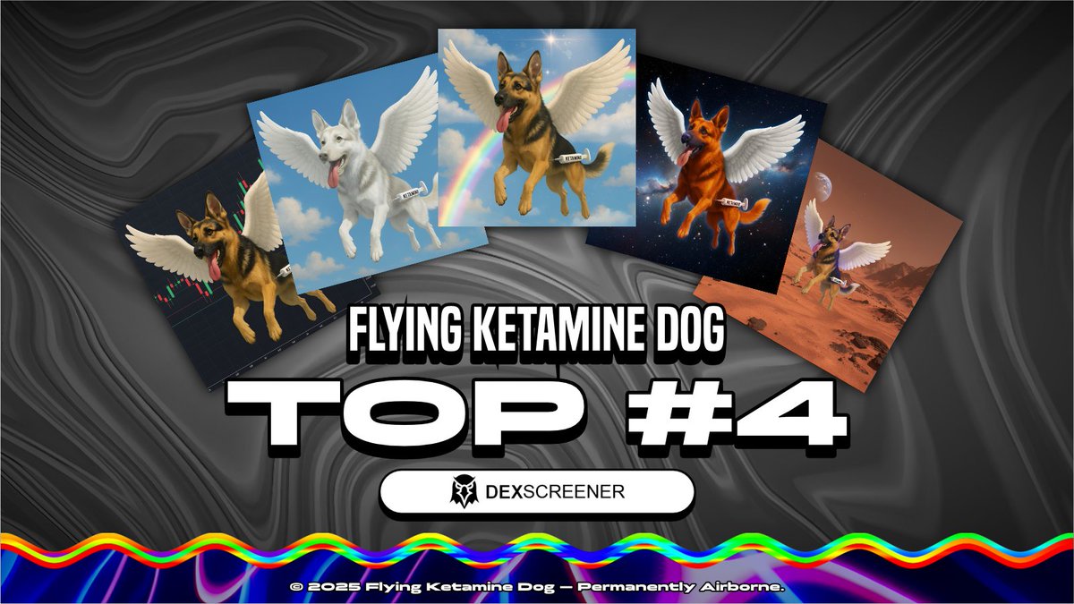 Flying Ketamine Dog tweet media