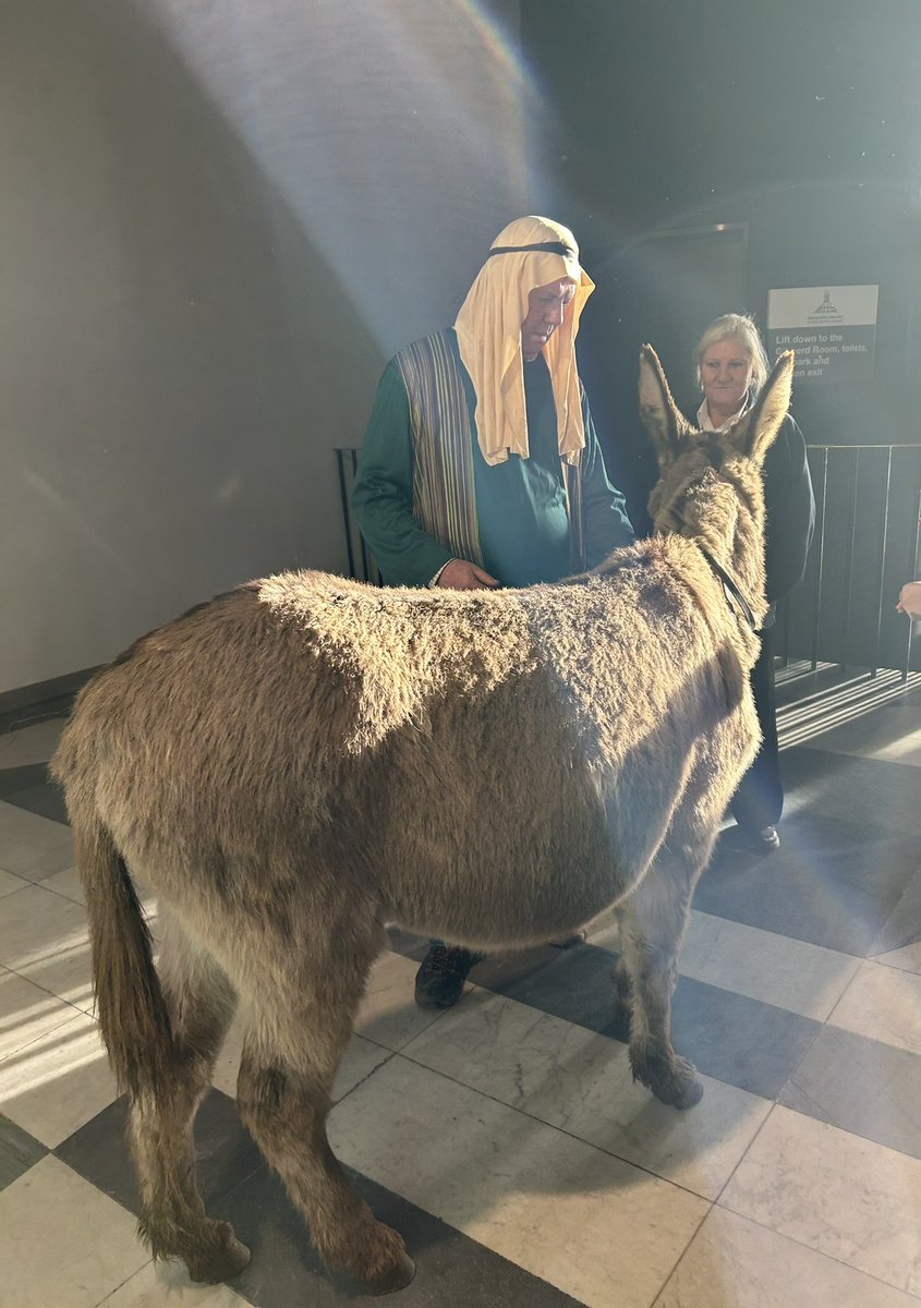 RaveyMichelle's tweet photo. Congratulations to all the wonderful children and adults who took part in the Advent Service at the Cathedral today. It was a spectacular performance and brought home the true meaning of Christmas. A special shout out to the Donkey https://t.co/vK57u3vn4l