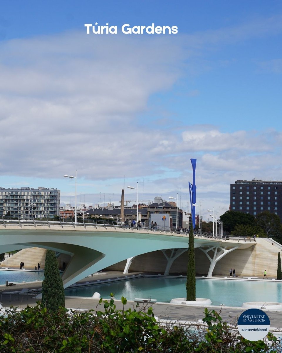 Turia Gardens in Valencia!​🌿
This 9 km-long green oasis runs through the city, offering spaces for jogging, cycling, picnics, and peaceful strolls.