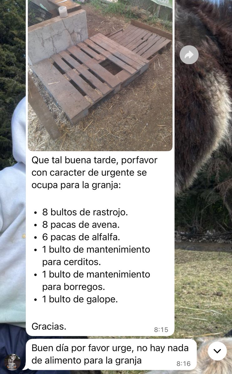 FundacionToby's tweet photo. Buenos días familia Toby!!

Hoy nos toca decir algo que jamás quisiéramos escribir…

No está llegando la ayuda suficiente…
Y hoy la granja y los perritos NO tienen qué comer.

Las croquetas se acabaron.
El alimento de granja también.
Y las cuentas nos están rebasando.

Por favor, si puedes ayudarnos con lo que sea —$50, $100, $150— hoy sí hace la diferencia entre que coman… o pasen este día con hambre.

🐾🙏 Nos ayudas?
Lo que para ti es poquito, para ellos es TODO.

Cuentas Toby

- BANCOMER
Cuenta: 0117412991
Clabe: 012180001174129915

- SANTANDER
Cuenta: 60577008001
Clabe: 014180605770080014
 
- Mercado pago
Clabe: 722969010583593935
Tarjeta: 5428785111220215

- Paypal
https://t.co/2p5RQ0wgxu