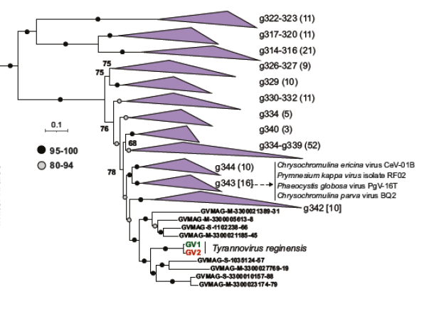 SmallThingsLab tweet media