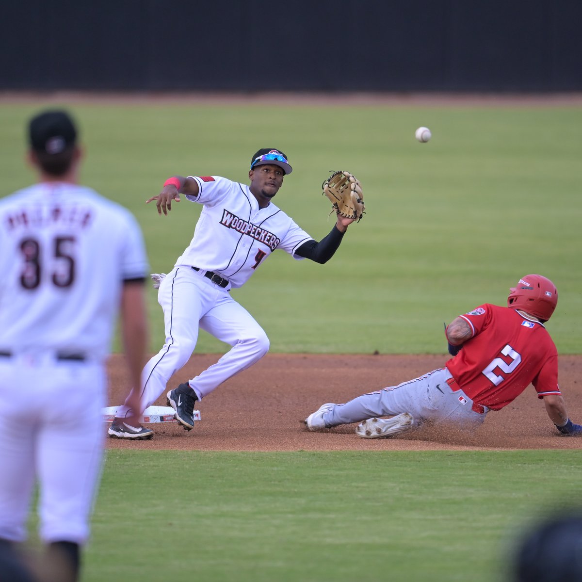 Fayetteville Woodpeckers tweet media