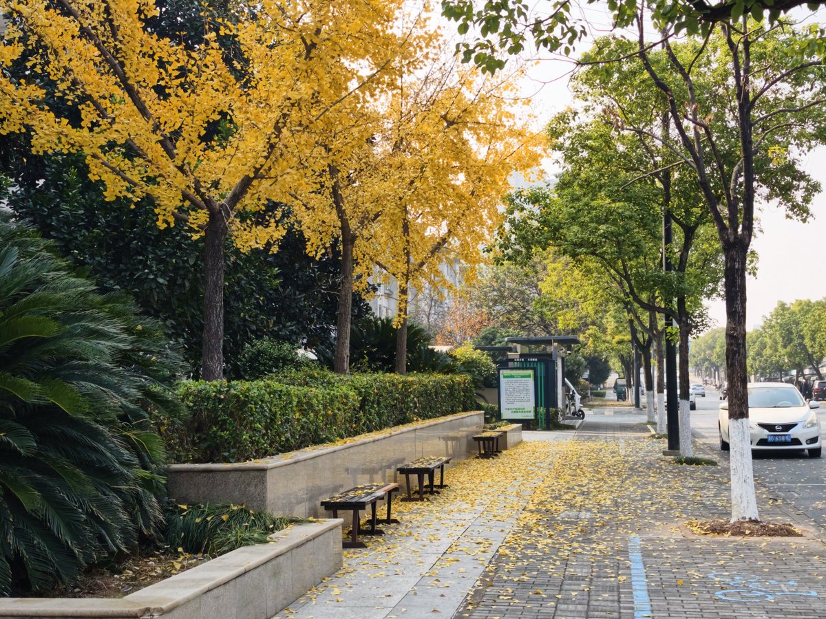 Lanxi (@zhejiangchinalx) on Twitter photo 