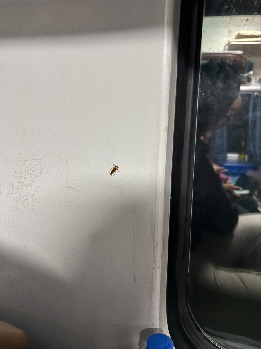 malani_sagar's tweet photo. @RailMinIndia @RailwaySeva @IRCTCofficial
Extremely poor hygiene in Train No. 18447 (PNR: 6162399788).
Cockroaches all over the coach – running on floors, near seats, everywhere.
What kind of cleaning or pest control is being done?
Passengers are unable to travel properly in such https://t.co/Ey7cBgKSOV