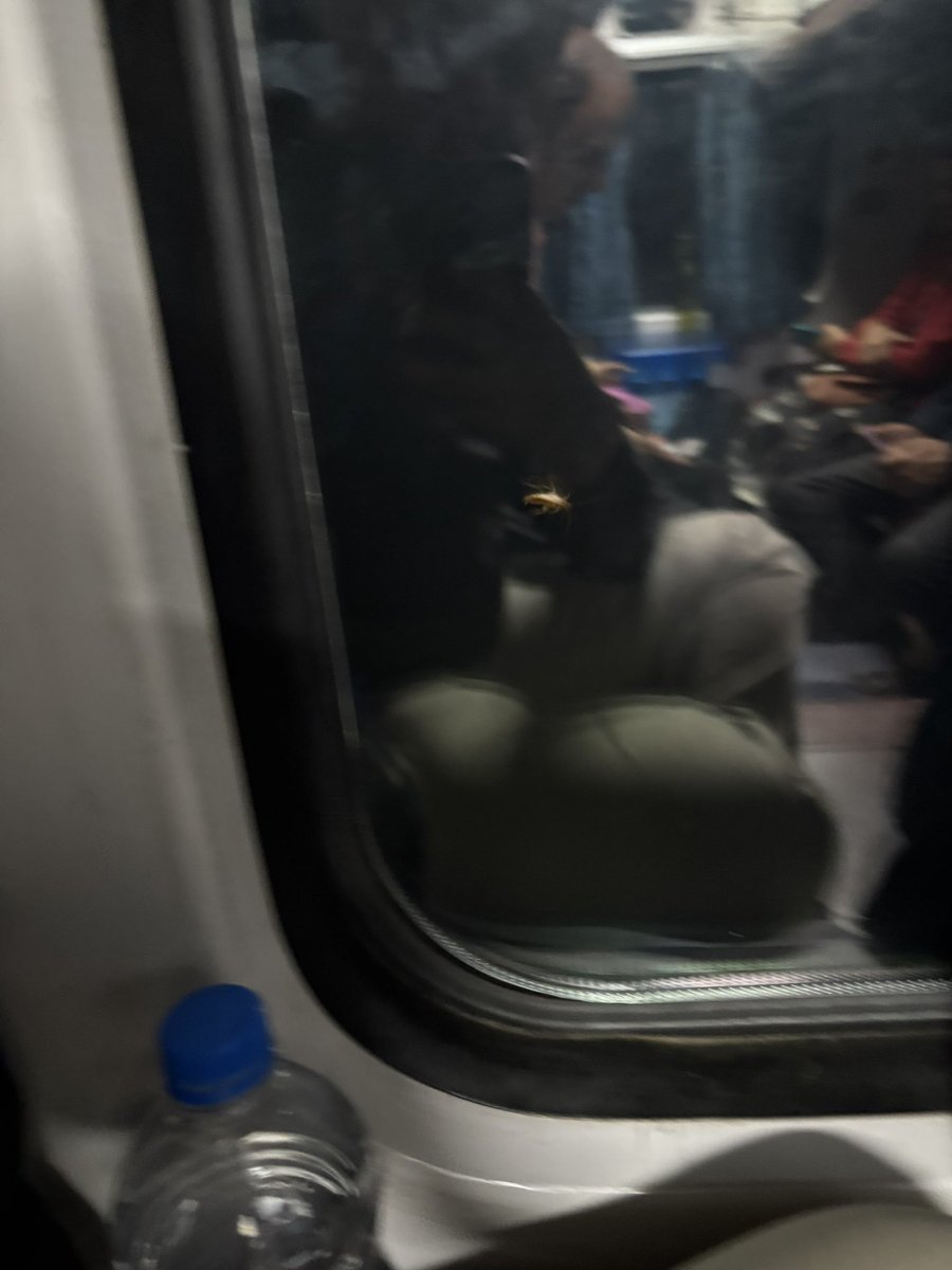 malani_sagar's tweet photo. @RailMinIndia @RailwaySeva @IRCTCofficial
Extremely poor hygiene in Train No. 18447 (PNR: 6162399788).
Cockroaches all over the coach – running on floors, near seats, everywhere.
What kind of cleaning or pest control is being done?
Passengers are unable to travel properly in such https://t.co/Ey7cBgKSOV