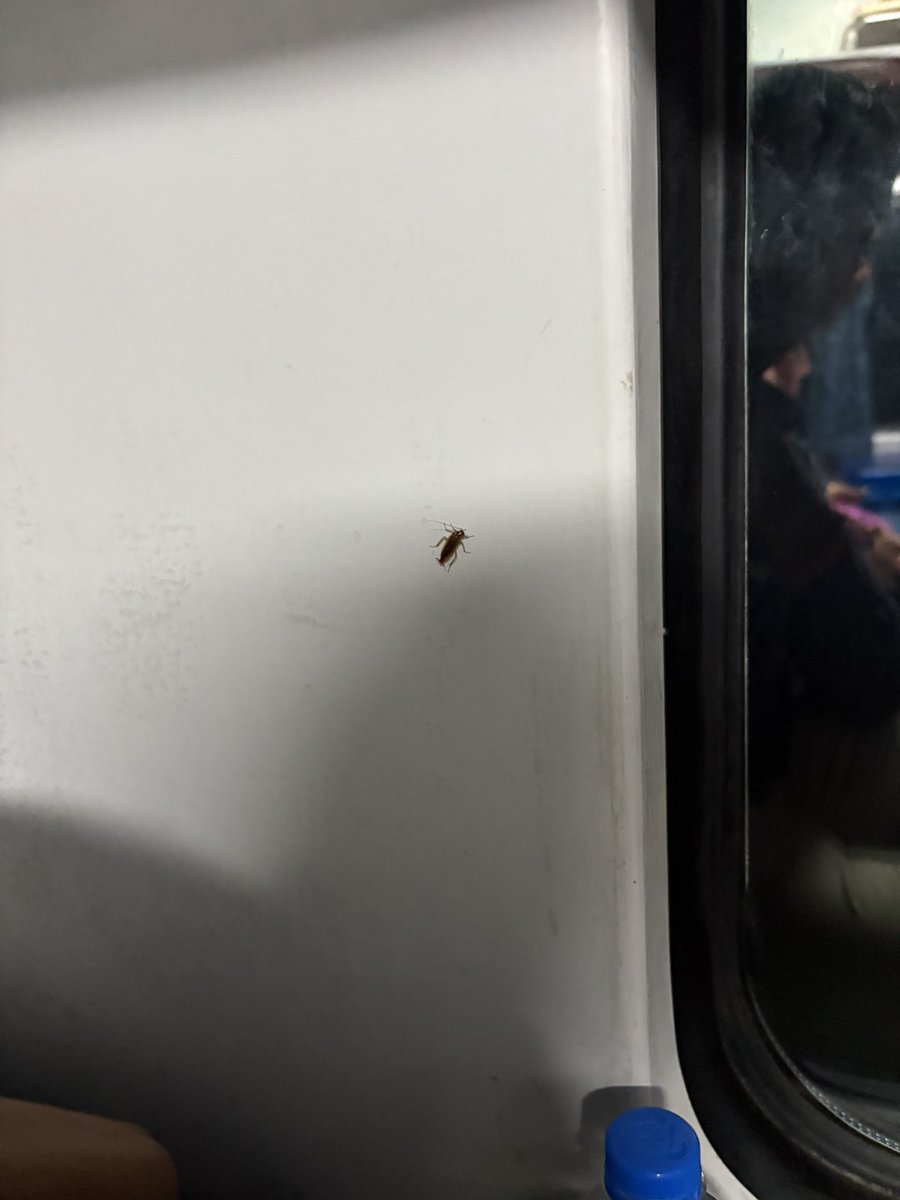 malani_sagar's tweet photo. @RailMinIndia @RailwaySeva @IRCTCofficial
Extremely poor hygiene in Train No. 18447 (PNR: 6162399788).
Cockroaches all over the coach – running on floors, near seats, everywhere.
What kind of cleaning or pest control is being done?
Passengers are unable to travel properly in such https://t.co/Ey7cBgKSOV