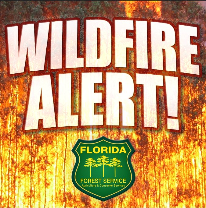 818-acre prescribed burn scheduled today in Picayune Strand State Forest