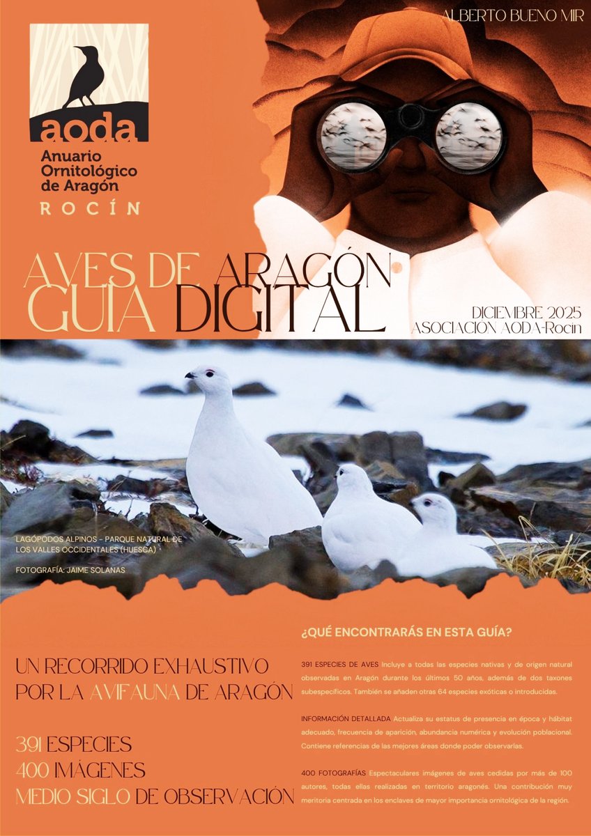 📘 Ya disponible la “Guía Digital Aves de Aragón” de Alberto Bueno (Asociación <a href="/aodarocin/">AODA</a> )
🦅Un recurso imprescindible para quienes aman las aves 🐦  de Aragón
✅ anuariorocin.blogspot.com/2025/12/aves-d…
Y si amas las aves, descubre birdingaragon.com