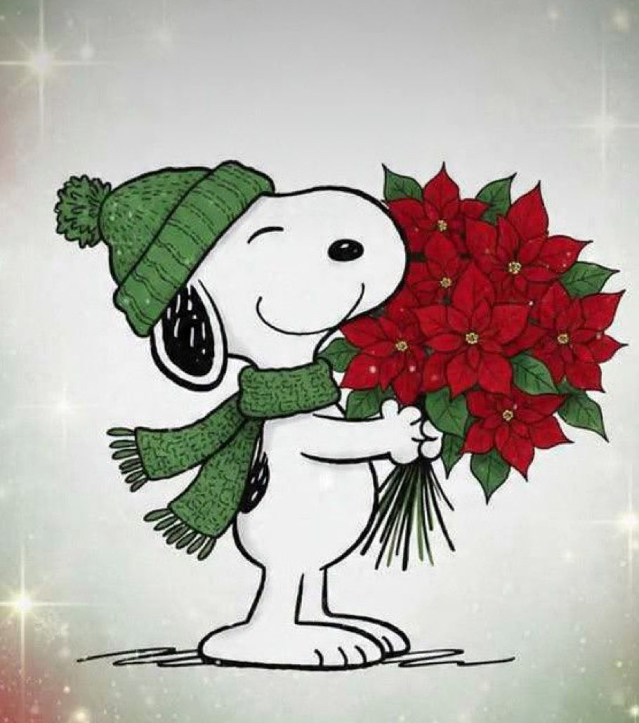 chelletalks's tweet image. Good morning!  Stay warm and have a great day! 😊