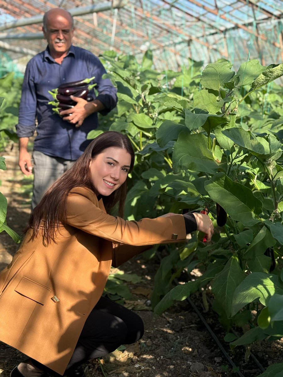 Konyaaltı’nın verimli topraklarında bugün bir kez daha gördüm ki, tarım artık alarm veriyor.
Çiftçilerimiz yüksek maliyetlerle, yetersiz desteklerle baş başa bırakılmış durumda. Gençlerimiz ise emeğinin karşılığını alamadığı için tarımdan uzaklaşıyor—toprak boş kalıyor, umutlar