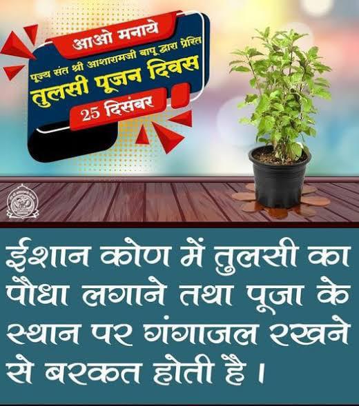 Inspired by Sant Shri Asharamji Bapu
 Tulsi Pujan Diwas is a Revolutionary Initiative which has been appreciated not only in the country but also in foreign countries. we are grateful to Bapuji for giving us Tulsi Pujan Diwas
#पावन_परंपरा_तुलसीपूजन