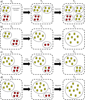Evolutionary Human Sciences tweet media