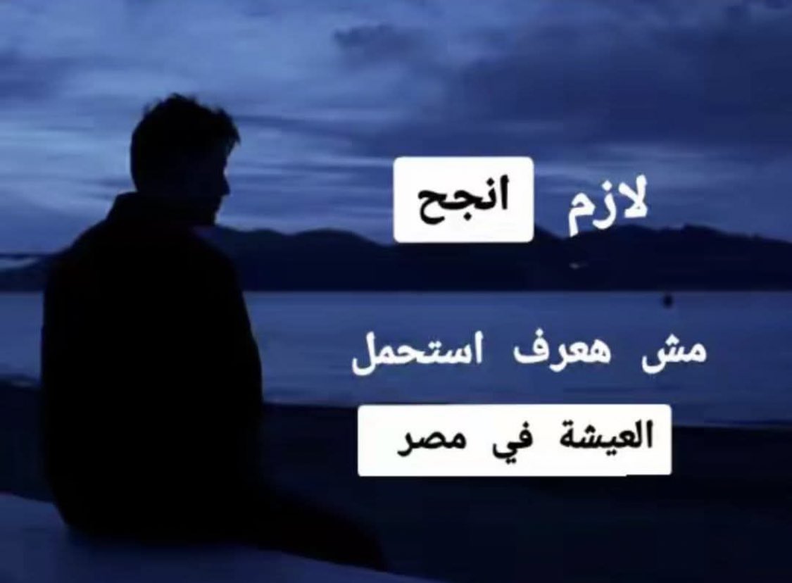 العنكبوت النونو خطفت قلبه عنكبوته (@i1911_) on Twitter photo 