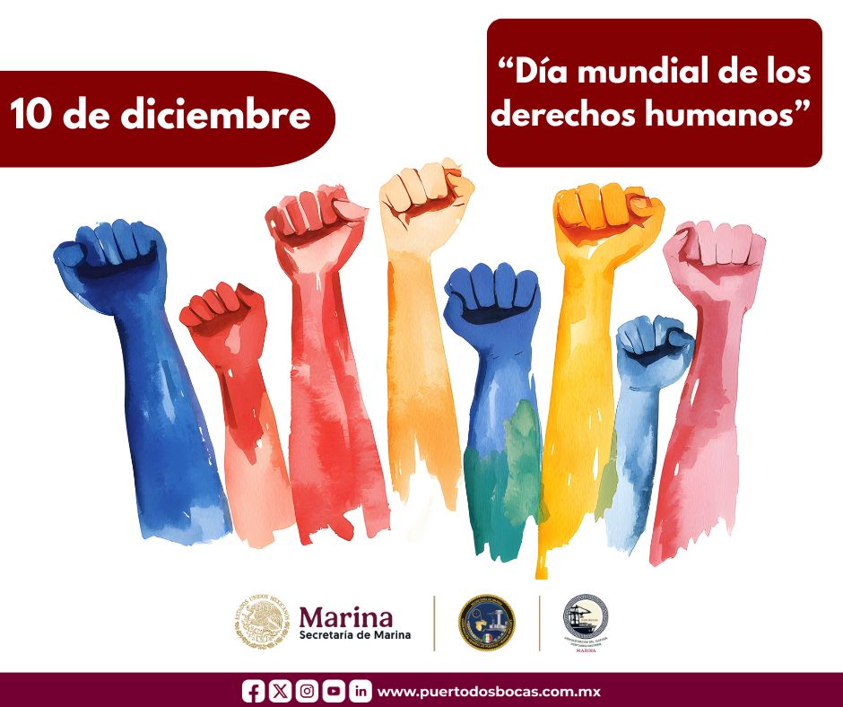 "Día mundial de los derechos humanos"